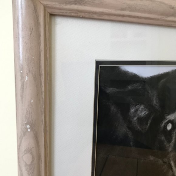 Black Dog Original Charcoal Drawing Framed Artist Signed & Dated Barry '95 - Picture 5 of 7